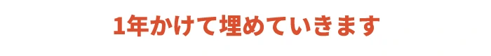 一年かけて埋めていきます
